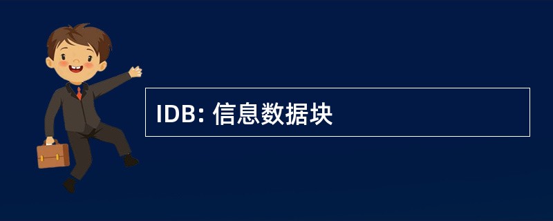 IDB: 信息数据块