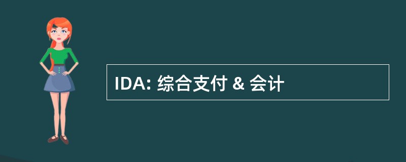 IDA: 综合支付 & 会计