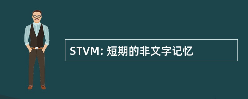 STVM: 短期的非文字记忆