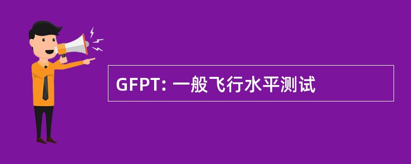 GFPT: 一般飞行水平测试