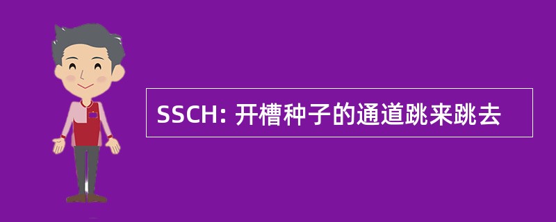 SSCH: 开槽种子的通道跳来跳去