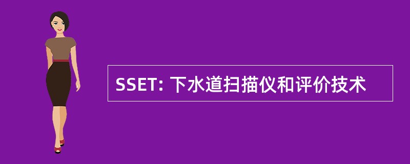 SSET: 下水道扫描仪和评价技术