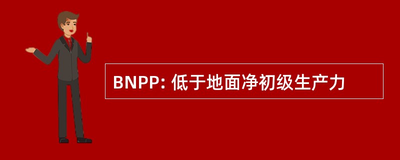 BNPP: 低于地面净初级生产力