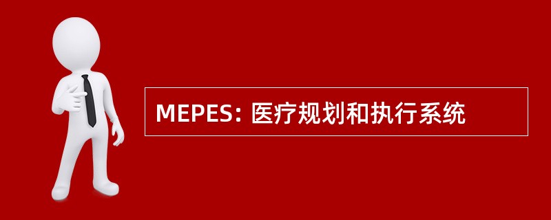 MEPES: 医疗规划和执行系统