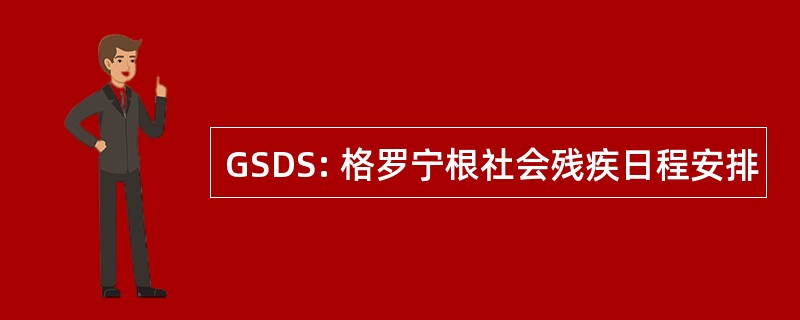 GSDS: 格罗宁根社会残疾日程安排