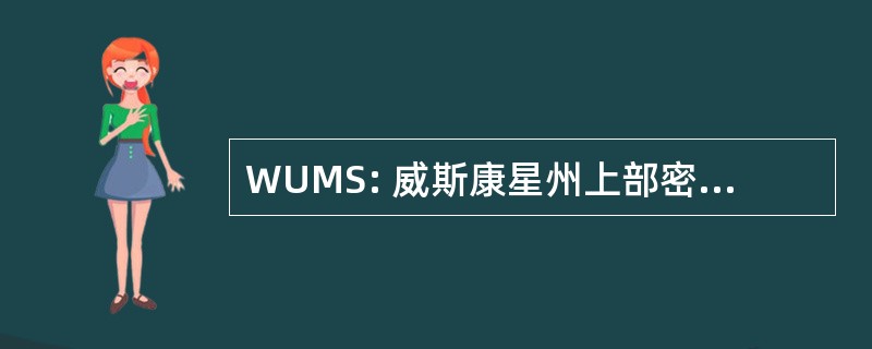 WUMS: 威斯康星州上部密歇根系统