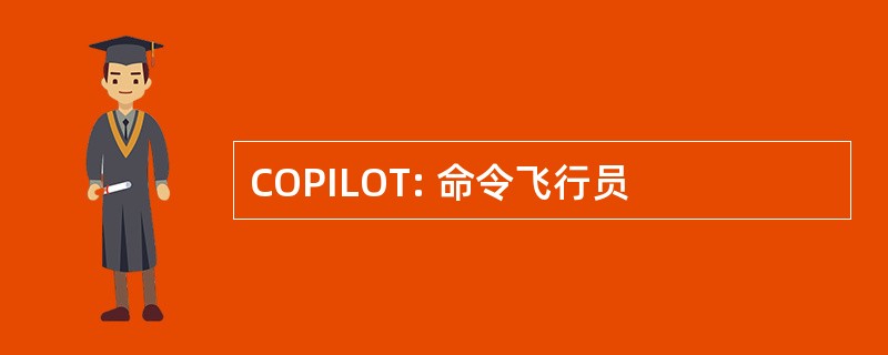 COPILOT: 命令飞行员