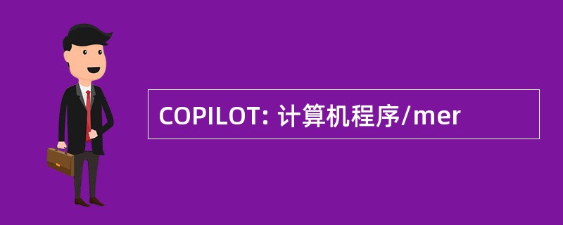 COPILOT: 计算机程序/mer