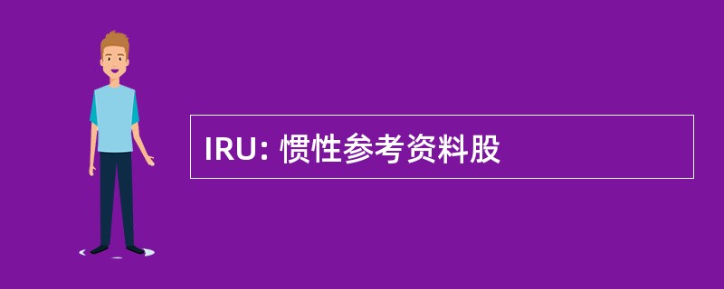 IRU: 惯性参考资料股