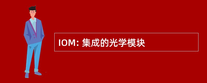 IOM: 集成的光学模块