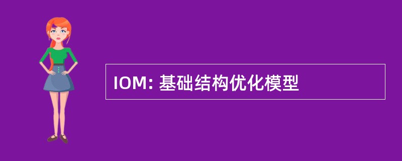 IOM: 基础结构优化模型