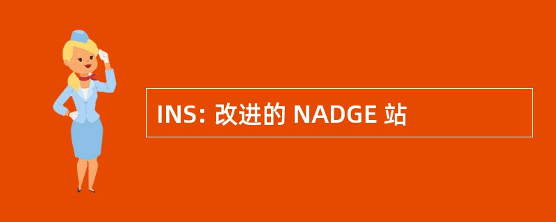 INS: 改进的 NADGE 站