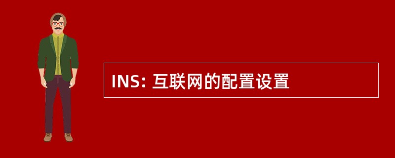 INS: 互联网的配置设置