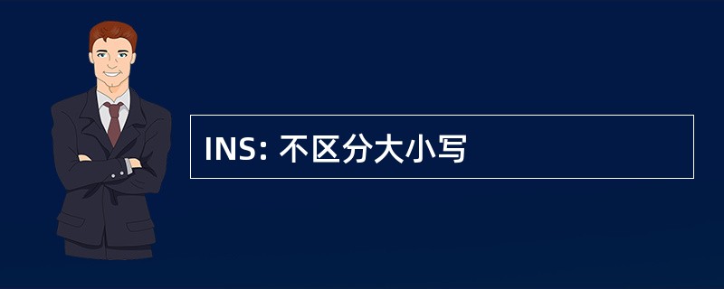 INS: 不区分大小写