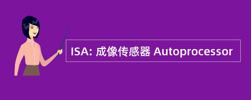 ISA: 成像传感器 Autoprocessor