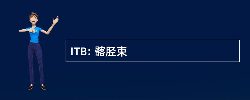 ITB: 髂胫束