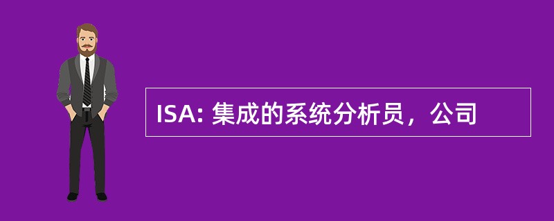 ISA: 集成的系统分析员，公司