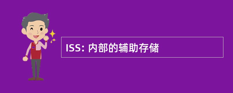 ISS: 内部的辅助存储