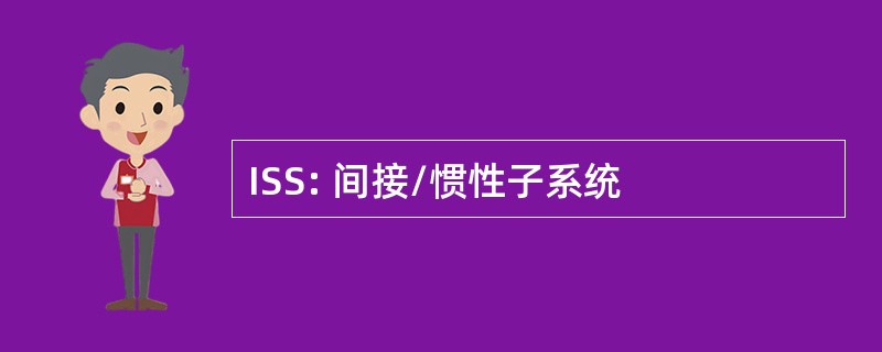 ISS: 间接/惯性子系统