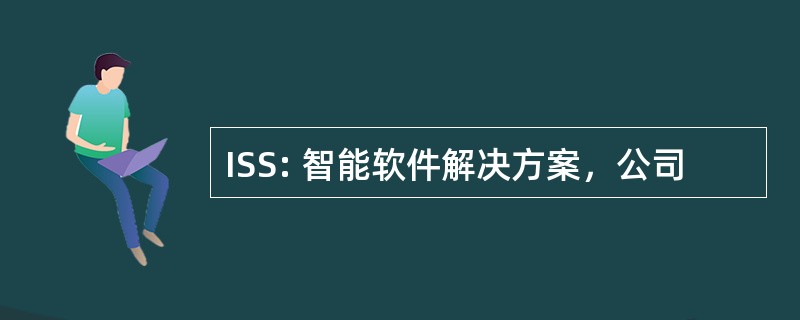 ISS: 智能软件解决方案，公司