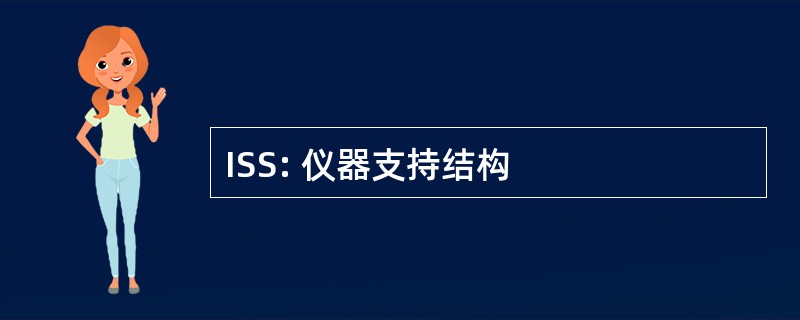 ISS: 仪器支持结构