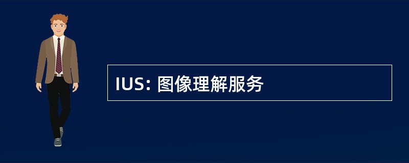 IUS: 图像理解服务