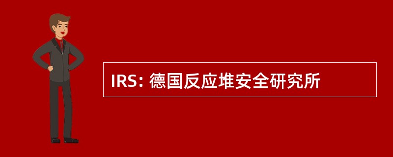 IRS: 德国反应堆安全研究所