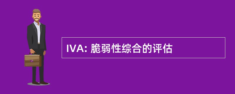 IVA: 脆弱性综合的评估