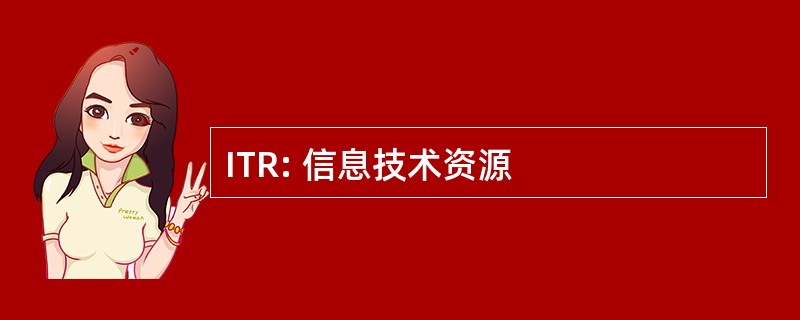 ITR: 信息技术资源