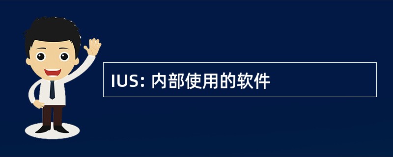 IUS: 内部使用的软件