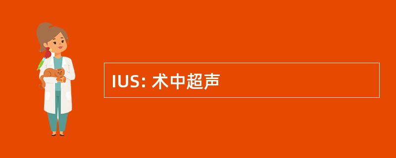 IUS: 术中超声