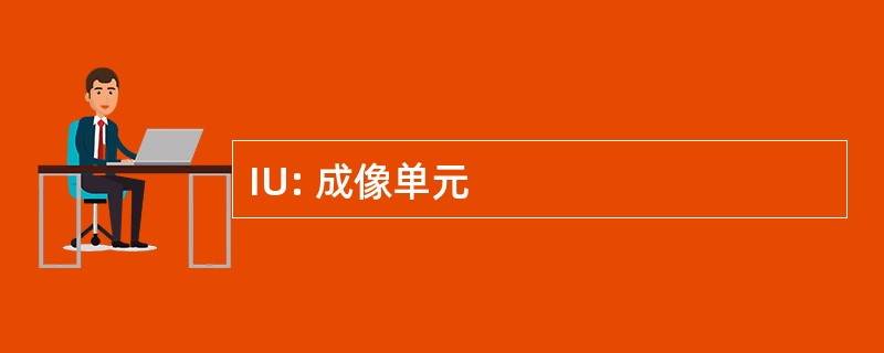 IU: 成像单元