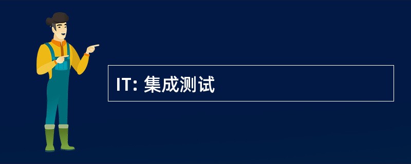 IT: 集成测试