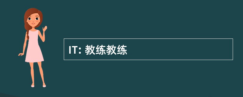 IT: 教练教练