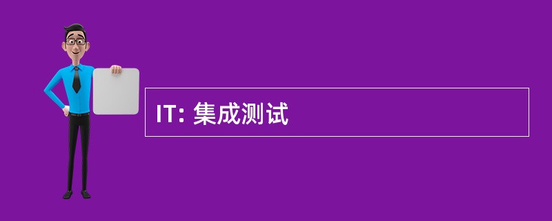 IT: 集成测试