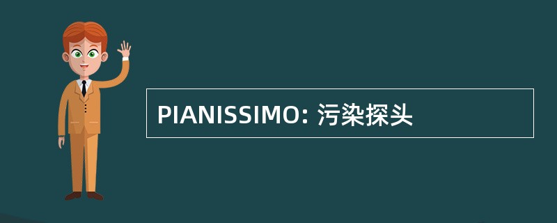 PIANISSIMO: 污染探头