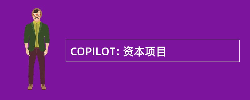 COPILOT: 资本项目