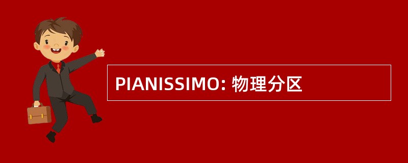 PIANISSIMO: 物理分区