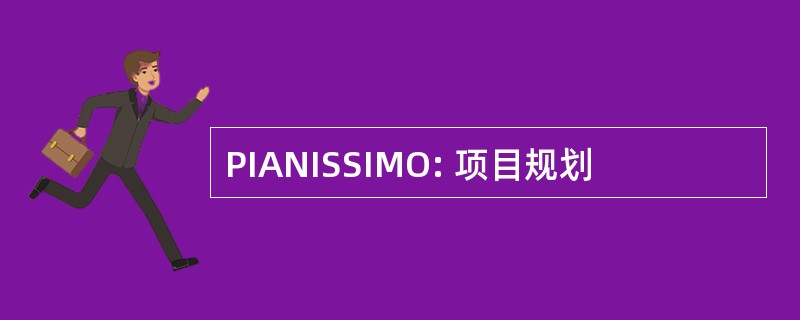 PIANISSIMO: 项目规划