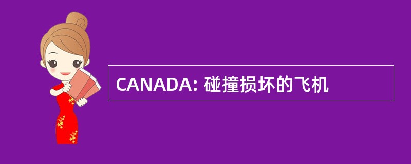 CANADA: 碰撞损坏的飞机