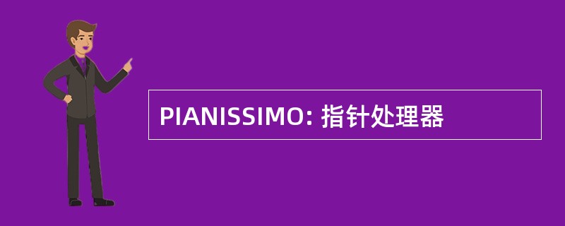 PIANISSIMO: 指针处理器