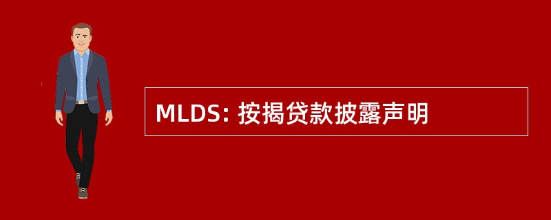 MLDS: 按揭贷款披露声明