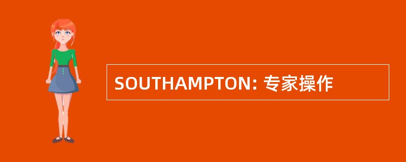 SOUTHAMPTON: 专家操作