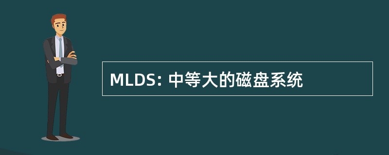 MLDS: 中等大的磁盘系统