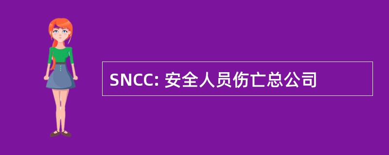 SNCC: 安全人员伤亡总公司