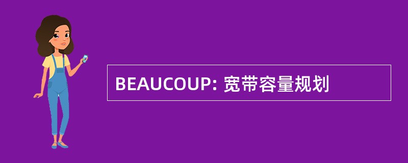 BEAUCOUP: 宽带容量规划