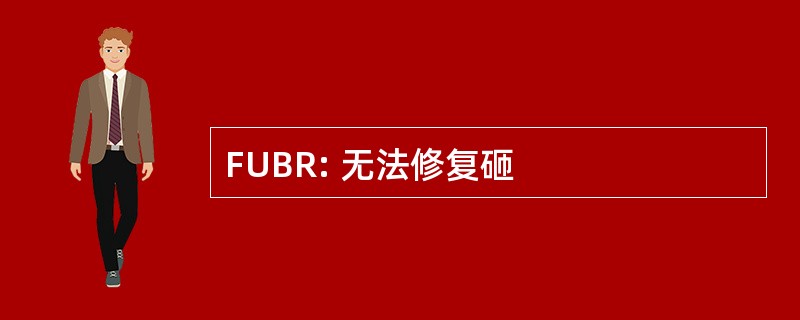 FUBR: 无法修复砸