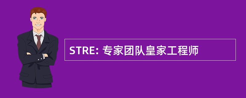 STRE: 专家团队皇家工程师