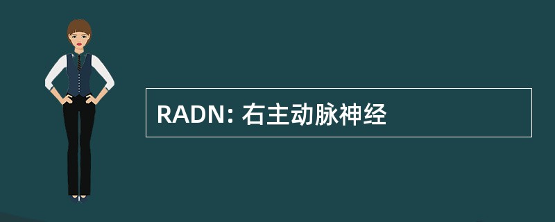 RADN: 右主动脉神经