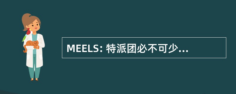 MEELS: 特派团必不可少的设备列表